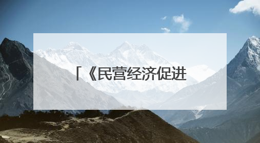 《民营经济促进法》出台后 张江有了新动作
