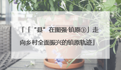 「“县”在图强·镇原③」走向乡村全面振兴的镇原轨迹