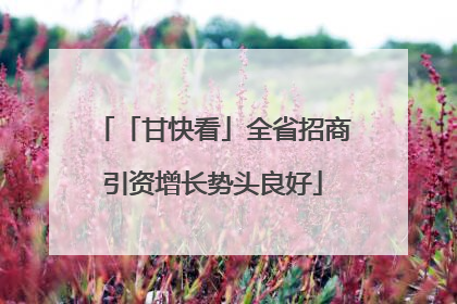 「甘快看」全省招商引资增长势头良好