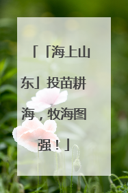 「海上山东」投苗耕海，牧海图强！
