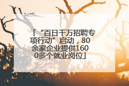 “百日千万招聘专项行动”启动，80余家企业提供1600多个就业岗位