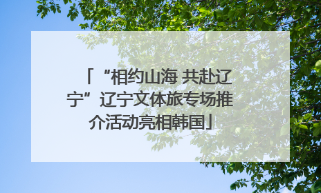 “相约山海 共赴辽宁”辽宁文体旅专场推介活动亮相韩国