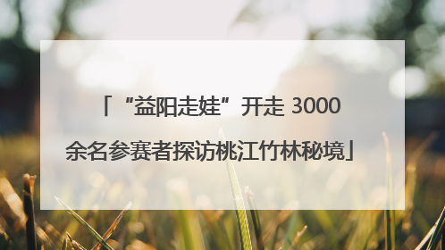 “益阳走娃”开走 3000余名参赛者探访桃江竹林秘境