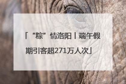 “粽”情洛阳丨端午假期引客超271万人次