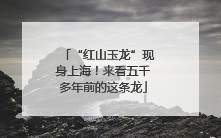 “红山玉龙”现身上海！来看五千多年前的这条龙
