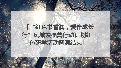 “红色书香润，爱伴成长行”凤城镇福蕾行动计划红色研学活动圆满结束