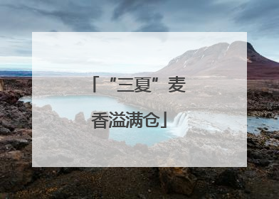 “三夏”麦香溢满仓