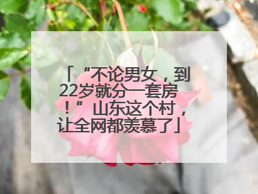 “不论男女，到22岁就分一套房！”山东这个村，让全网都羡慕了