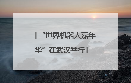 “世界机器人嘉年华”在武汉举行
