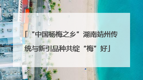 “中国杨梅之乡”湖南靖州传统与新引品种共绽“梅”好