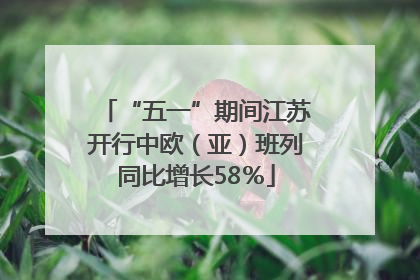 “五一”期间江苏开行中欧（亚）班列同比增长58％
