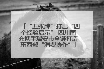 “五张牌”打出“四个经验启示” 四川南充携手瑞安市全链打造东西部“消费协作”