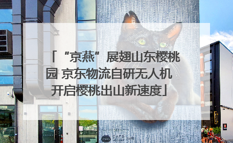 “京燕”展翅山东樱桃园 京东物流自研无人机开启樱桃出山新速度
