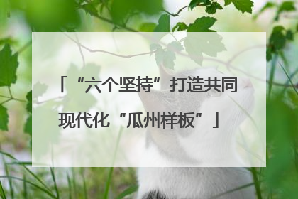 “六个坚持”打造共同现代化“瓜州样板”