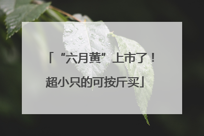 “六月黄”上市了！超小只的可按斤买
