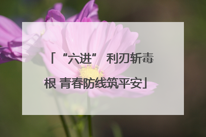 “六进” 利刃斩毒根 青春防线筑平安