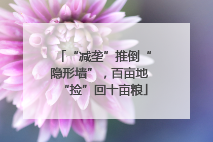 “减垄”推倒“隐形墙”，百亩地“捡”回十亩粮