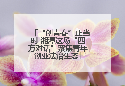 “创青春”正当时 湘潭这场“四方对话”聚焦青年创业法治生态