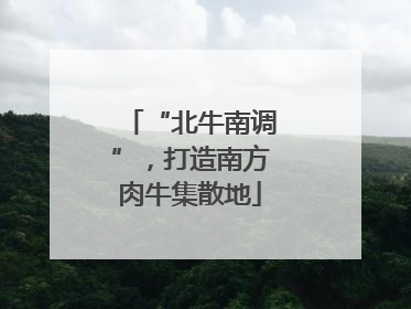“北牛南调”，打造南方肉牛集散地