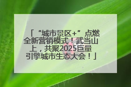 “城市景区+”点燃全新营销模式！武当山上，共聚2025巨量引擎城市生态大会！