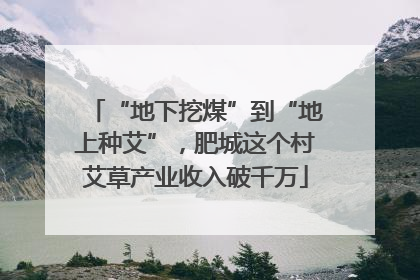 “地下挖煤”到“地上种艾”，肥城这个村艾草产业收入破千万