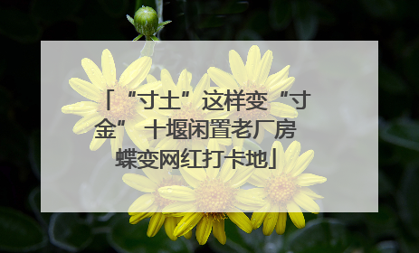 “寸土”这样变“寸金” 十堰闲置老厂房蝶变网红打卡地