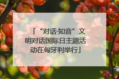 “对话·知音”文明对话国际日主题活动在匈牙利举行