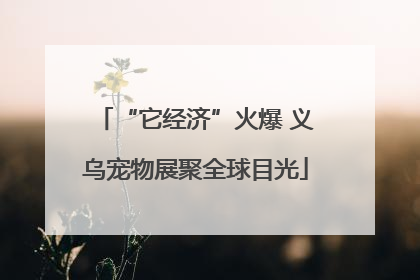 “它经济”火爆 义乌宠物展聚全球目光