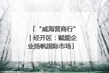 “威海营商行”｜经开区：赋能企业扬帆国际市场