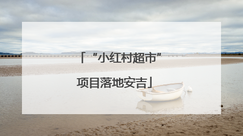 “小红村超市”项目落地安吉