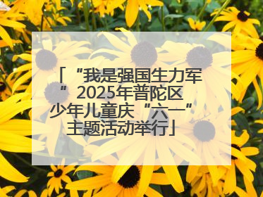 “我是强国生力军”2025年普陀区少年儿童庆“六一”主题活动举行