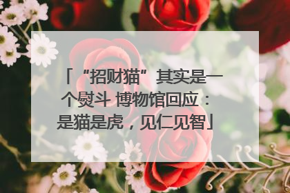 “招财猫”其实是一个熨斗 博物馆回应：是猫是虎，见仁见智