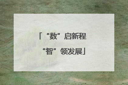 “数”启新程 “智”领发展