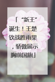 “新王”诞生！王楚钦战胜雨果，骄傲展示胸前国旗