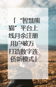 “智慧熊猫”平台上线月余注册用户破万 打造数字连侨新模式