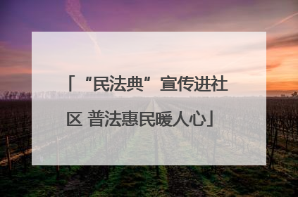“民法典”宣传进社区 普法惠民暖人心
