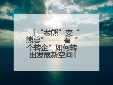 “老熊”变“熊总”——看“个转企”如何转出发展新空间