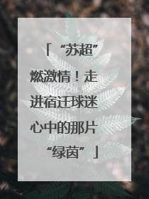 “苏超”燃激情！走进宿迁球迷心中的那片“绿茵”