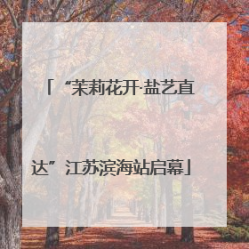 “茉莉花开·盐艺直达”江苏滨海站启幕