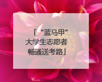 “蓝马甲”大学生志愿者畅通送考路