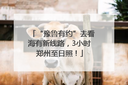 “豫鲁有约”去看海有新线路，3小时郑州至日照！