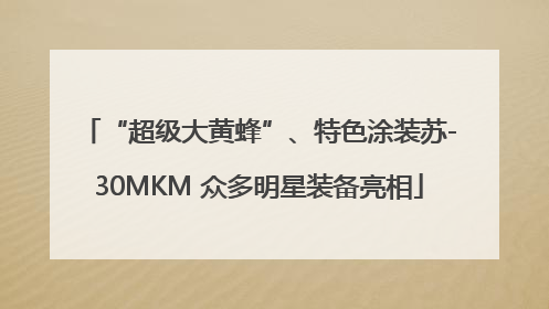 “超级大黄蜂”、特色涂装苏-30MKM 众多明星装备亮相