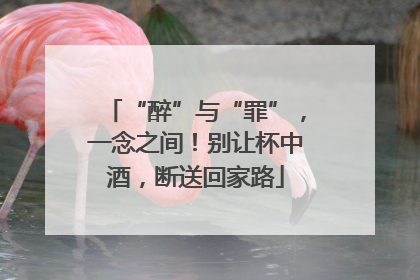 “醉”与“罪”，一念之间！别让杯中酒，断送回家路