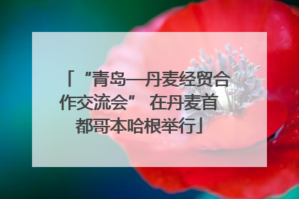 “青岛—丹麦经贸合作交流会” 在丹麦首都哥本哈根举行