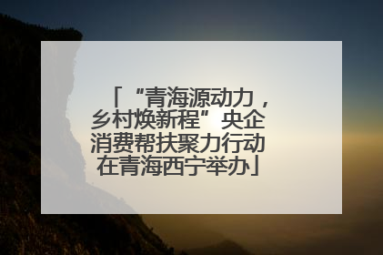 “青海源动力，乡村焕新程”央企消费帮扶聚力行动在青海西宁举办