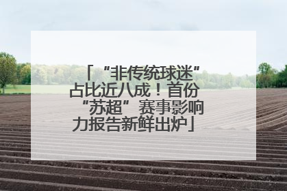 “非传统球迷”占比近八成！首份“苏超”赛事影响力报告新鲜出炉