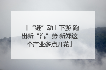 “链”动上下游 跑出新“汽”势 新郑这个产业多点开花