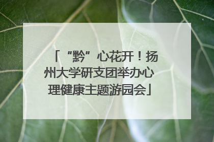 “黔”心花开！扬州大学研支团举办心理健康主题游园会