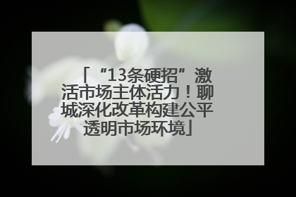 “13条硬招”激活市场主体活力！聊城深化改革构建公平透明市场环境