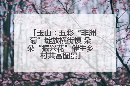 玉山：五彩“非洲菊”绽放横街镇 朵朵“振兴花”催生乡村共富图景